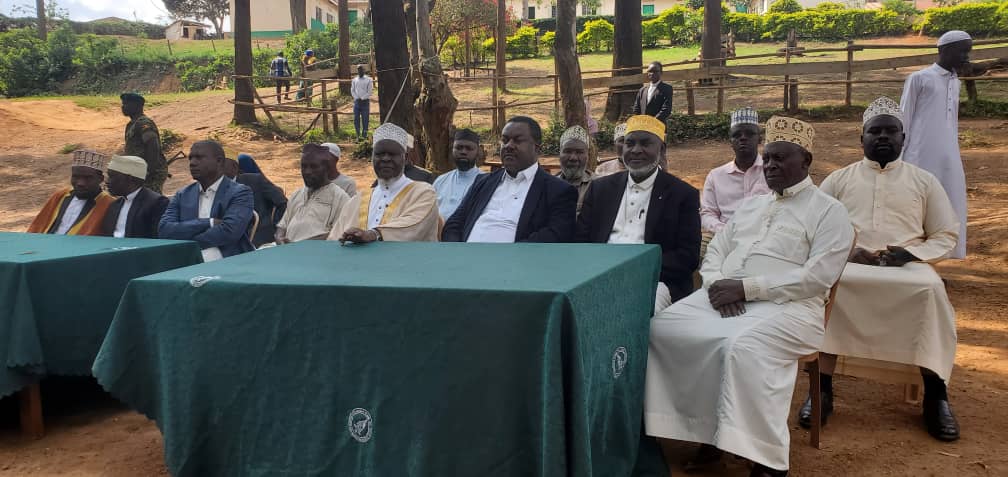 whatsapp image 2025 06 25 at 17.48.31